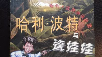 Illustrated cover of a Chinese Harry Potter forgery